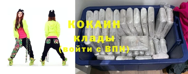 соль ск Елизово