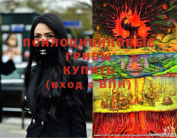 соль ск Елизово
