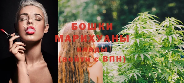мдпв Няндома