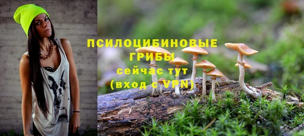 марки lsd Елабуга