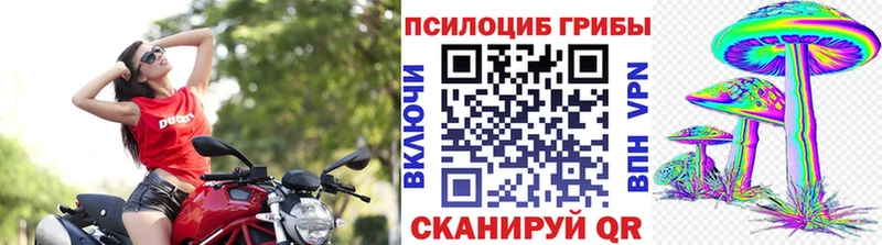 Псилоцибиновые грибы ЛСД  гидра как войти  Воскресенск 